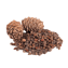 Bor