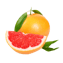 Grejpfrut