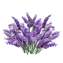 Lavanda